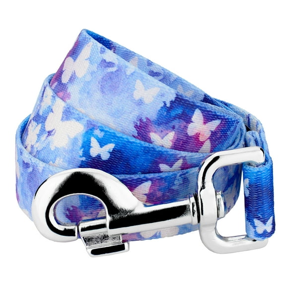 Country Brook Petz® 1 Inch Watercolor Butterflies Dog Leash, 4 Foot