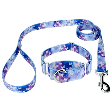 Country Brook Petz® Watercolor Butterflies Martingale Dog Collar and Leash, Large