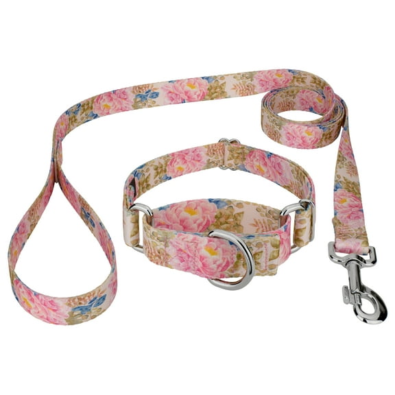 Country Brook Petz® Watercolor Peonies Martingale Dog Collar and Leash, 2XS