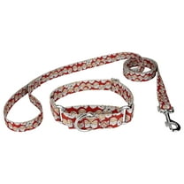 Country Brook Petz® Where's Merry Martingale Dog Collar and Leash, 2XS
