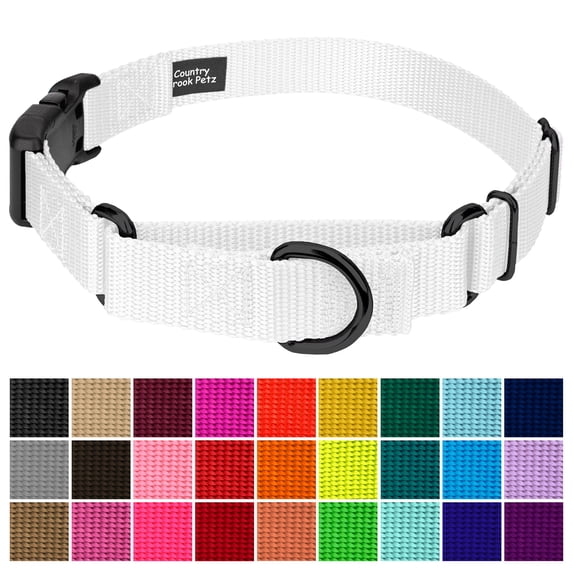 Country Brook Petz® Heavy Duty Nylon Martingale Dog Collar with Plastic Buckle for Adjustable Small Medium Large Breeds - 30+ Vibrant Color Options (1 Inch, Medium, White)