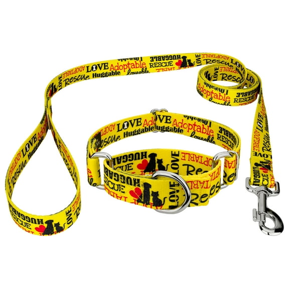 Country Brook Petz® Yellow Loveable Rescue Martingale Dog Collar and Leash, 2XS