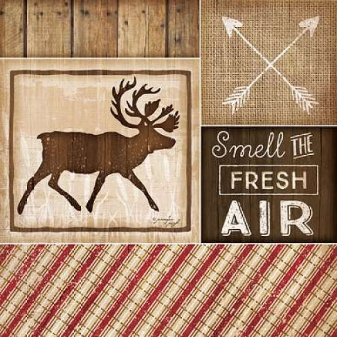 Country Cabin I Canvas Art - Jennifer Pugh (24 x 24)