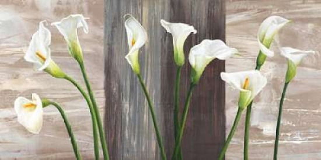 Country Callas Canvas Art - Jenny Thomlinson (10 x 20)