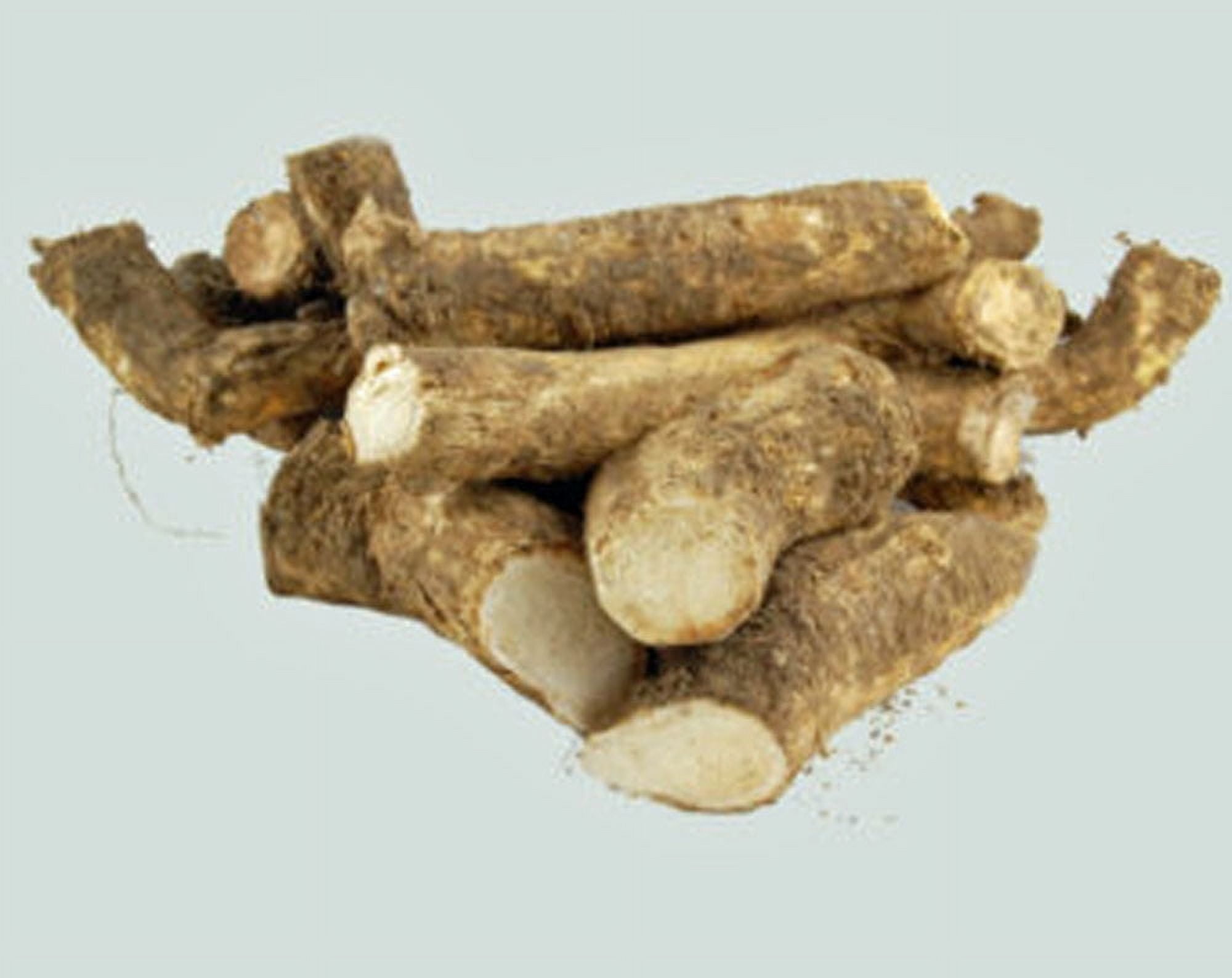 Country Creek Acres Horseradish Root Live Plants in None, Non GMO