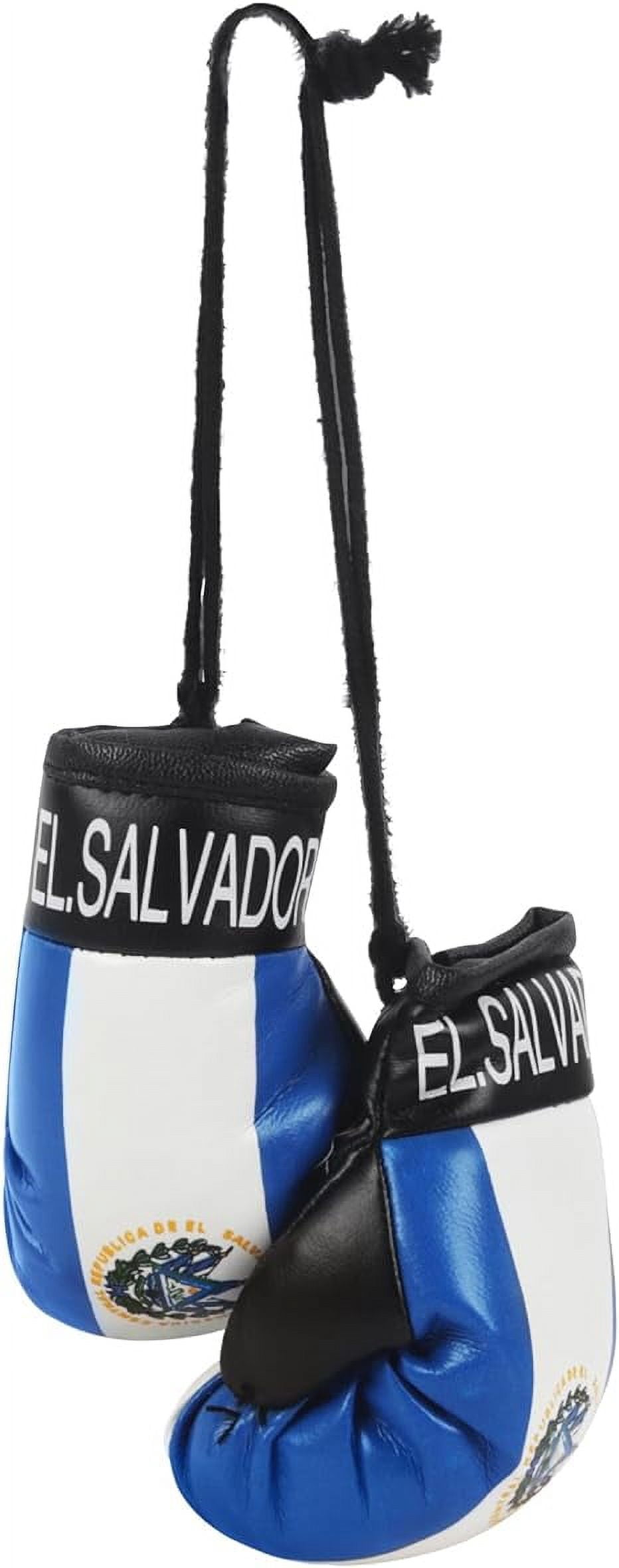 Puerto Rico Double-Sided Window Flag With Suction Cup & Mini Boxing Gloves - 3" X 4.5" Display