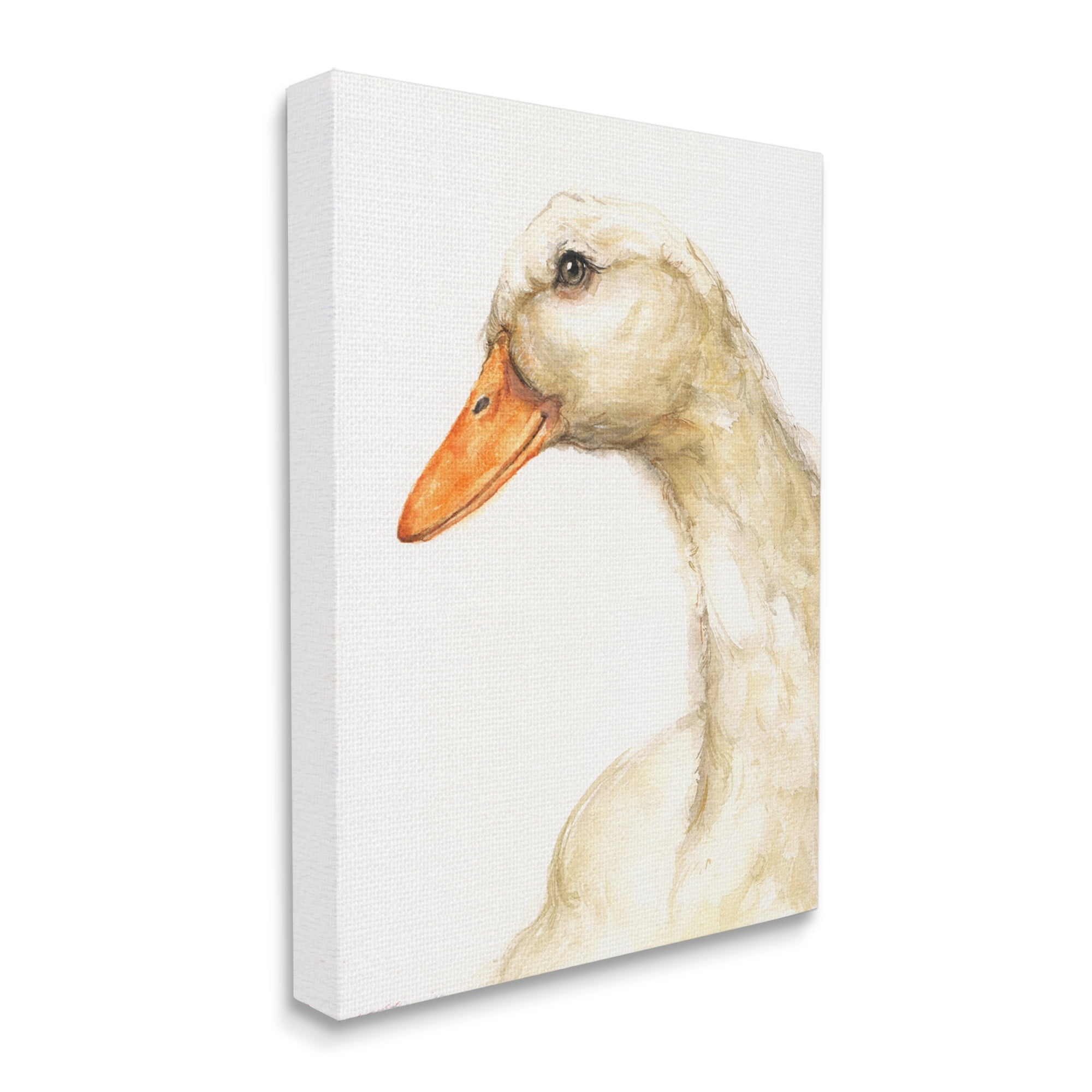 Stupell Industries Country Goose Portrait Soft Feather Bird Canvas Wall Art, 16 x 20, Design by George Dyachenko