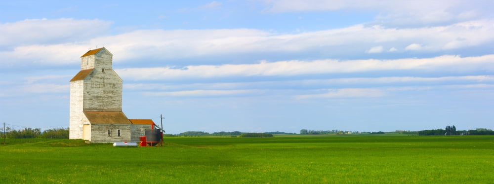 Country Grain Elevator Panoramic Alberta Canada Canvas Art - Corey Hochachka Design Pics (44 x 16)
