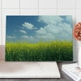 thumbnail image 1 of Country Home Cutting Board, Blooming Rape Field and Clear Sky Clouds Saxony Germany Rustic Eco, Decorative Tempered Glass Cutting and Serving Board, Large Size, Yellow Green Blue, by Ambesonne, 1 of 1