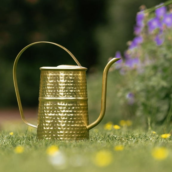 Country Living Watering Can - Gold