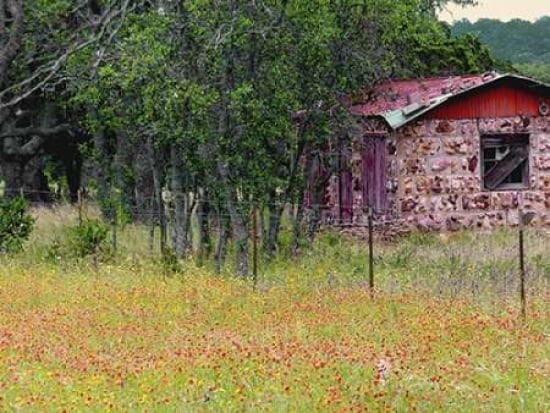 Country Meadow II Canvas Art - Gail Peck (18 x 24)