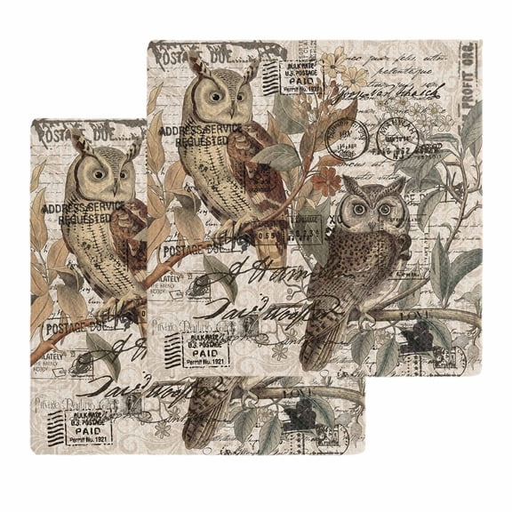 Country Owl Kitchen Dish Towels for Drying Dishes Set of 2, Rustic Sping Floral Botanical Postmark Waffle Weave Microfiber Hand Tea Bathroom Towels Quick Dry & Absorbent Towel 12x12