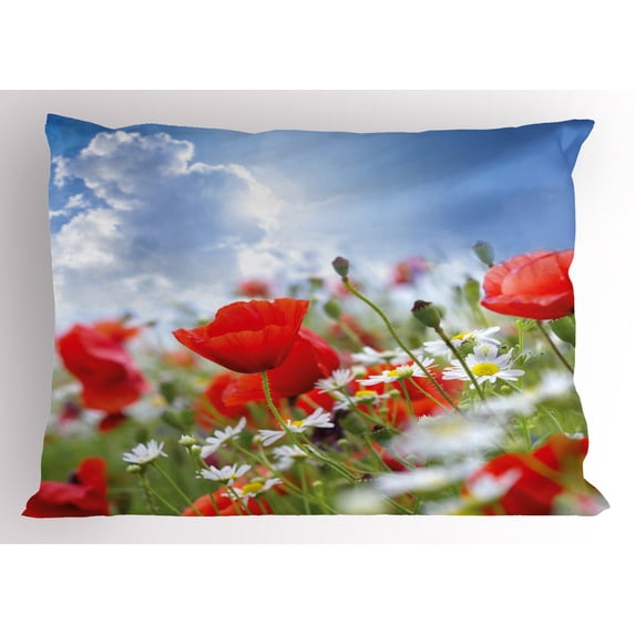 Country Pillow Sham Idyllic Spring Meadow with Poppy and Daisy Flowers Sunny Sky Clouds Garden Design, Decorative Standard King Size Printed Pillowcase, 36 X 20 Inches, Multicolor, by Ambesonne