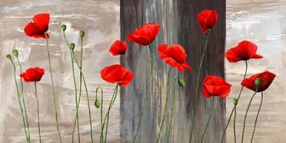 Country Poppies Canvas Art - Jenny Thomlinson (10 x 20)