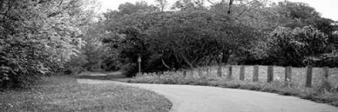 Country Road Canvas Art - Kelly Poynter (8 x 24)