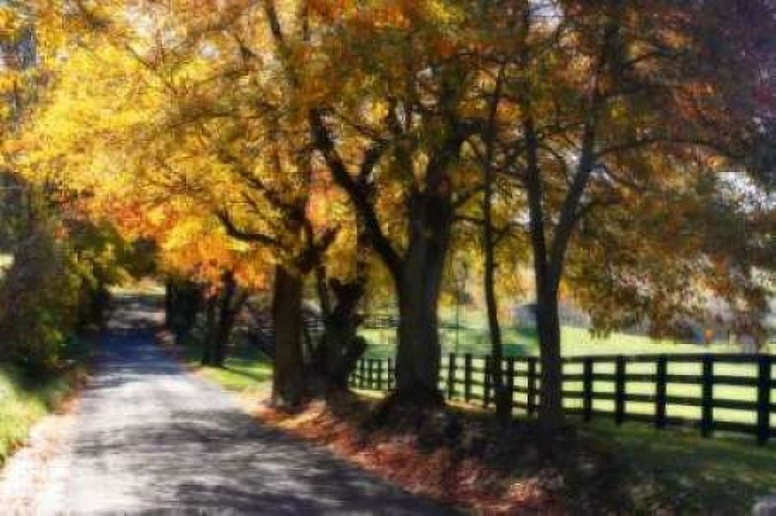 Country Road I Canvas Art - Alan Hausenflock (20 x 28)