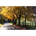 thumbnail image 1 of Country Road I Poster Print by Alan Hausenflock (20 x 28), 1 of 1