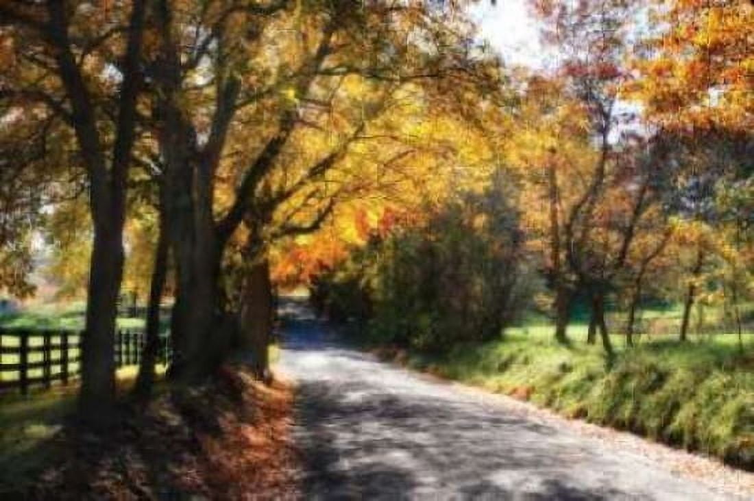 Country Road II Canvas Art - Alan Hausenflock (20 x 28)