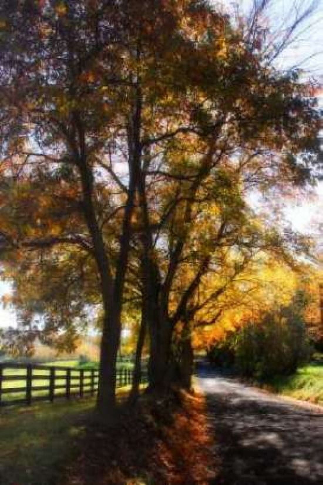 Country Road III Canvas Art - Alan Hausenflock (20 x 28)