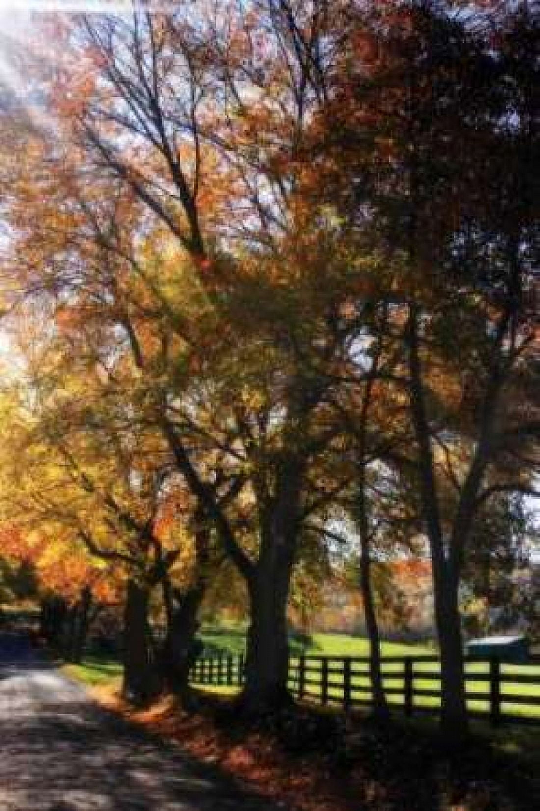 Country Road IV Canvas Art - Alan Hausenflock (20 x 28)