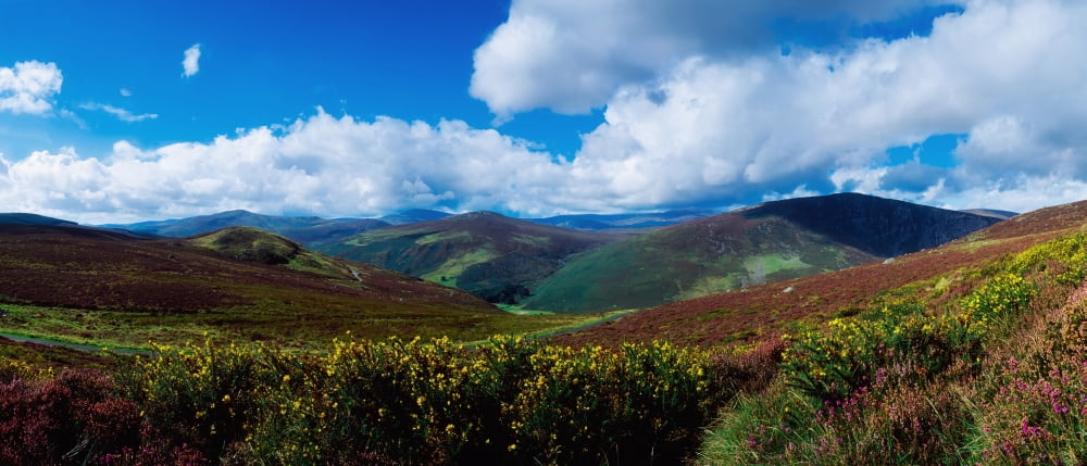 Country Road Near Luggala Mountain Co Wicklow Ireland Canvas Art - The Irish Image Collection Design Pics (44 x 19)