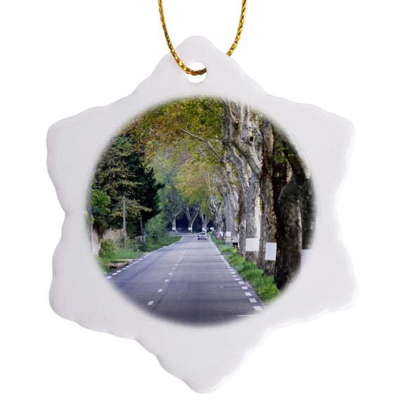 3drose, Country Road, Path, Saint Remy De Provence, France - Eu09 Pka1777 - Per Karlsson, 3 inch Snowflake Porcelain Ornament