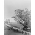 thumbnail image 1 of Country Road Poster Print - 18 x 24 in., 1 of 1