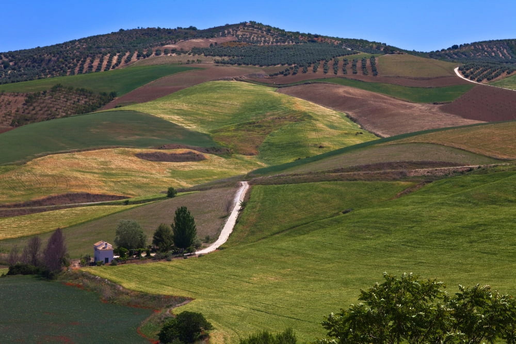 Country Road and fields just outside Alhama de Granada Granada Province Andalucia Spain Canvas Art - Panoramic Images (27 x 9)