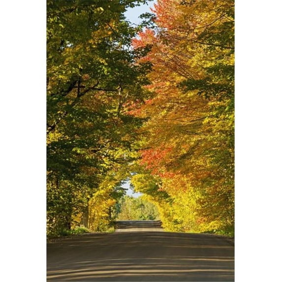 Country Road in Autumn - West Bolton Quebec Canada Poster Print by David Chapman, 24 x 38 - Large