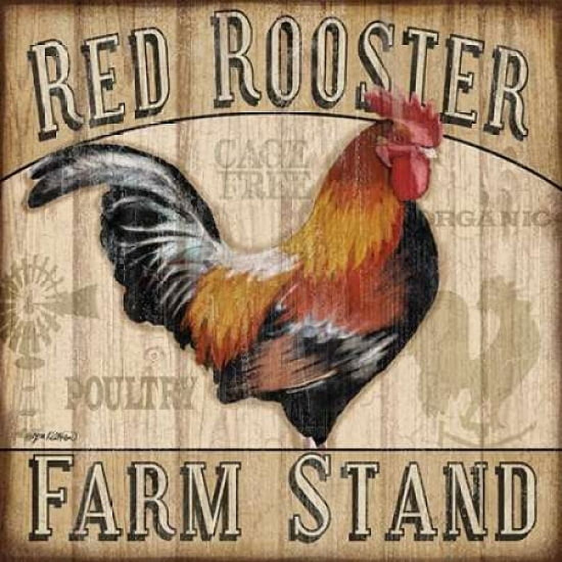 Country Rooster I Canvas Art - Jen Killeen (24 x 24)