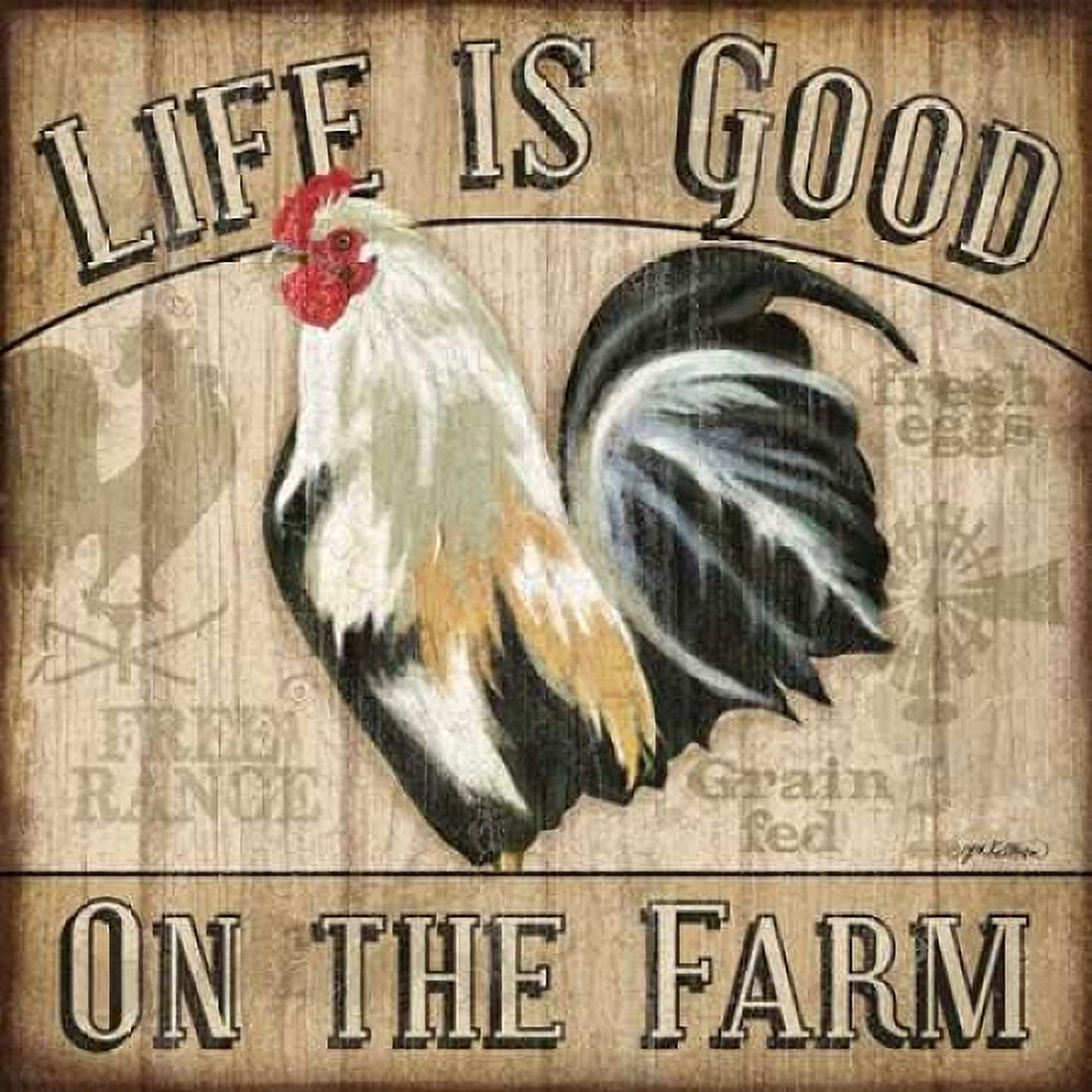 Country Rooster II Canvas Art - Jen Killeen (24 x 24)