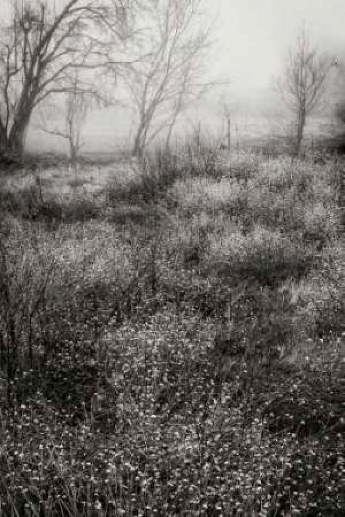 Country Serenity II Canvas Art - Vitaly Geyman (12 x 18)