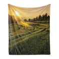 thumbnail image 1 of Country Soft Flannel Fleece Throw Blanket, Barley Field Sunset Samoeng Chiang Mai Thailand Nature Countryside Picture, Cozy Plush for Indoor and Outdoor Use, 50" x 60", Green Yellow, by Ambesonne, 1 of 5