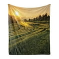 thumbnail image 1 of Country Soft Flannel Fleece Throw Blanket, Barley Field Sunset Samoeng Chiang Mai Thailand Nature Countryside Picture, Cozy Plush for Indoor and Outdoor Use, 60" x 80", Green Yellow, by Ambesonne, 1 of 5
