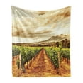 thumbnail image 1 of Country Soft Flannel Fleece Throw Blanket, Grape Valley Clouds over Vineyard Fruit Plantation Digital Print, Cozy Plush for Indoor and Outdoor Use, 70" x 90", Burnt Orange Off White, by Ambesonne, 1 of 5