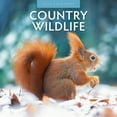 thumbnail image 1 of Country Wildlife 2025 Square Wall Calendar, 1 of 3