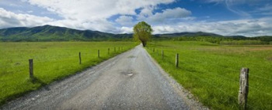 Country gravel road passing through a field Hyatt Lane Cades Cove Great Smoky Mountains National Park Tennessee USA Canvas Art - Panoramic Images (15 x 6)