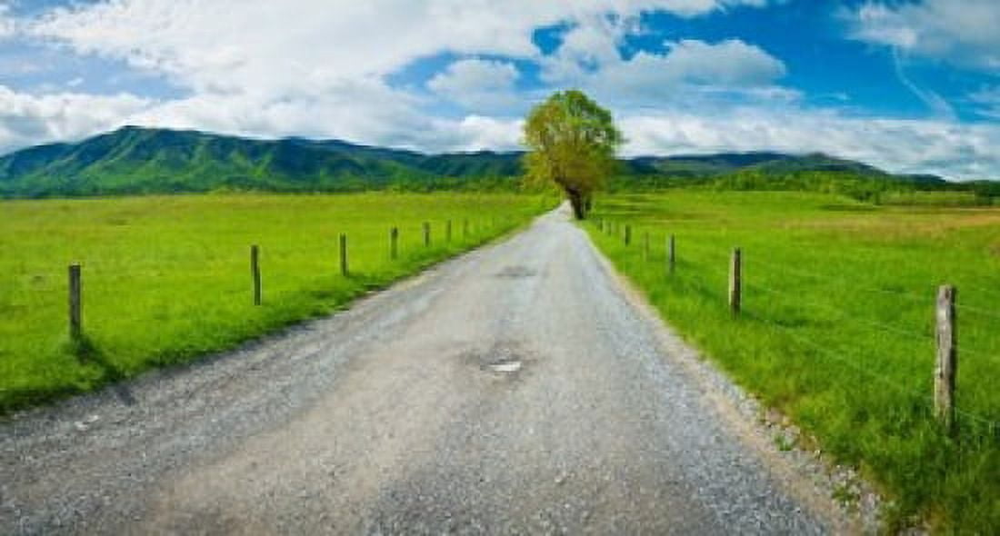 Country gravel road passing through a field Hyatt Lane Cades Cove Great Smoky Mountains National Park Tennessee USA Canvas Art - Panoramic Images (36 x 20)