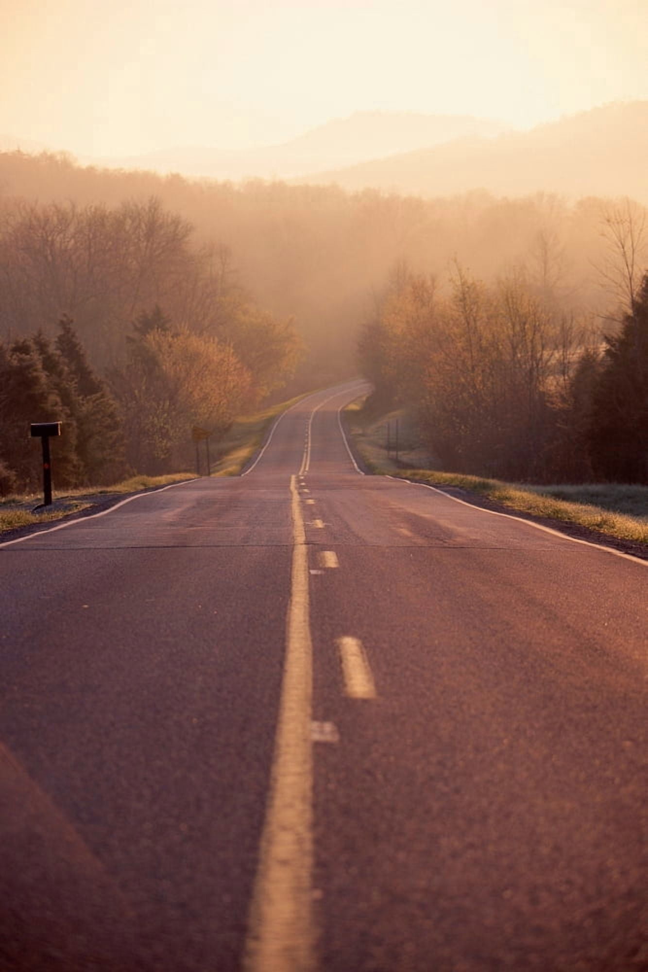 Country highway in morning Canvas Art - Panoramic Images (24 x 36)
