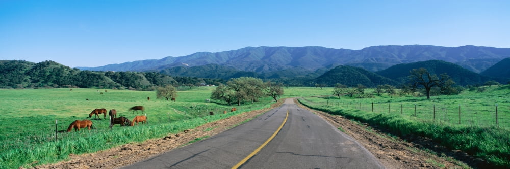 Country road California Canvas Art - Panoramic Images (36 x 12)