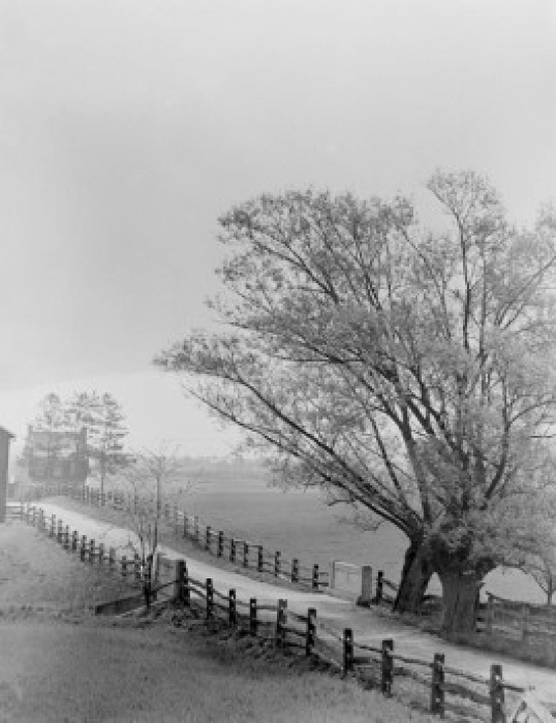 Country road Canvas Art -  (18 x 24)