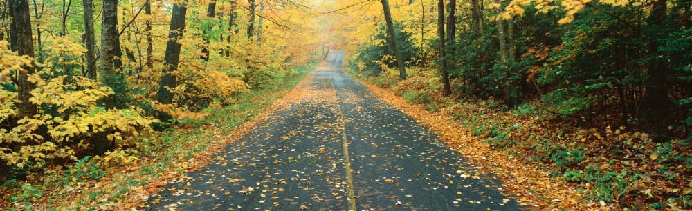 Country road Massachussetts Canvas Art - Panoramic Images (36 x 12)