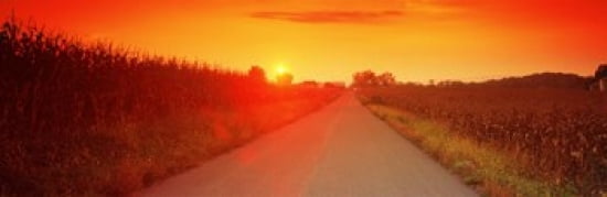 Country road at sunset Milton Northumberland County Pennsylvania USA Canvas Art - Panoramic Images (36 x 12)