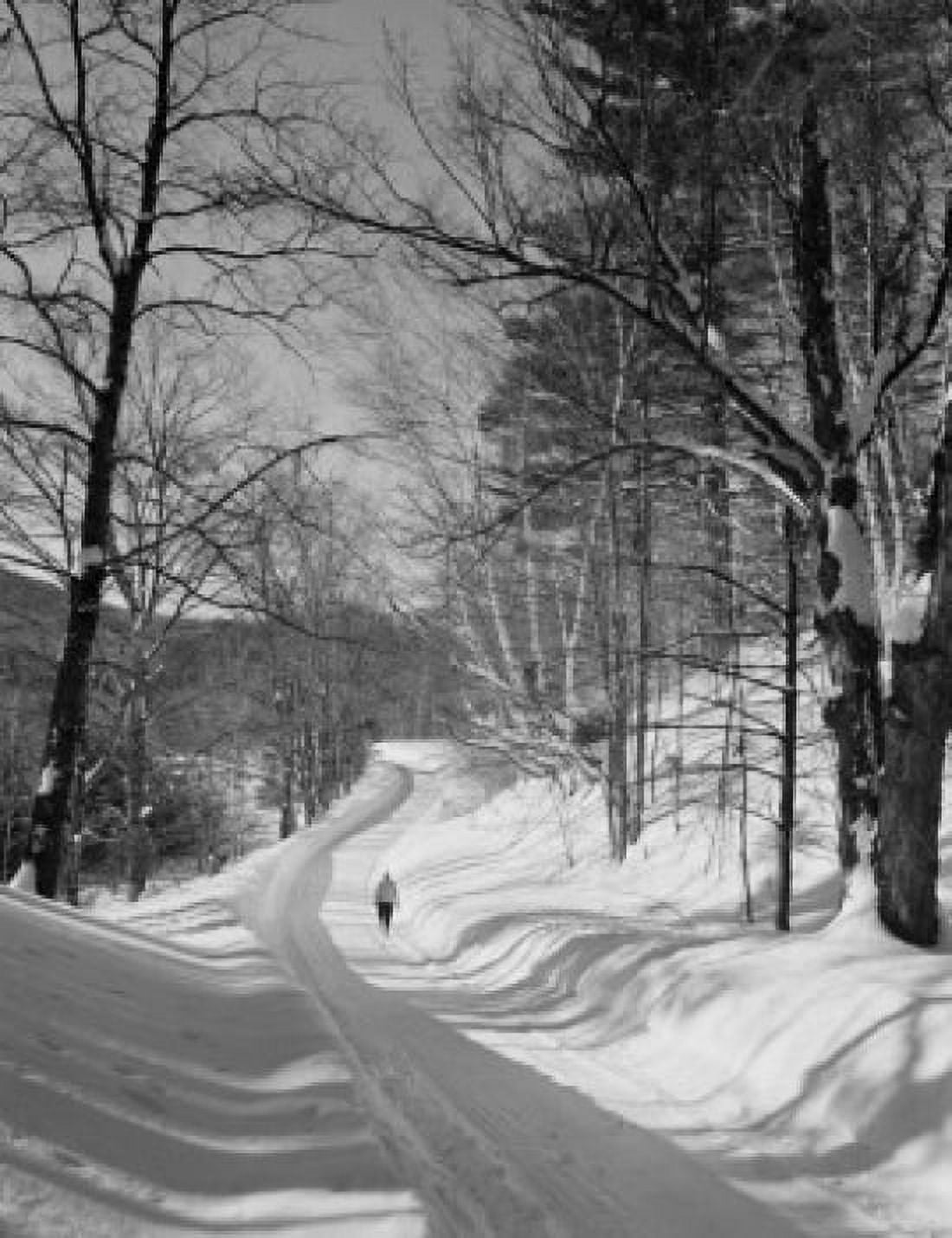 Country road in winter Canvas Art - (24 x 36)