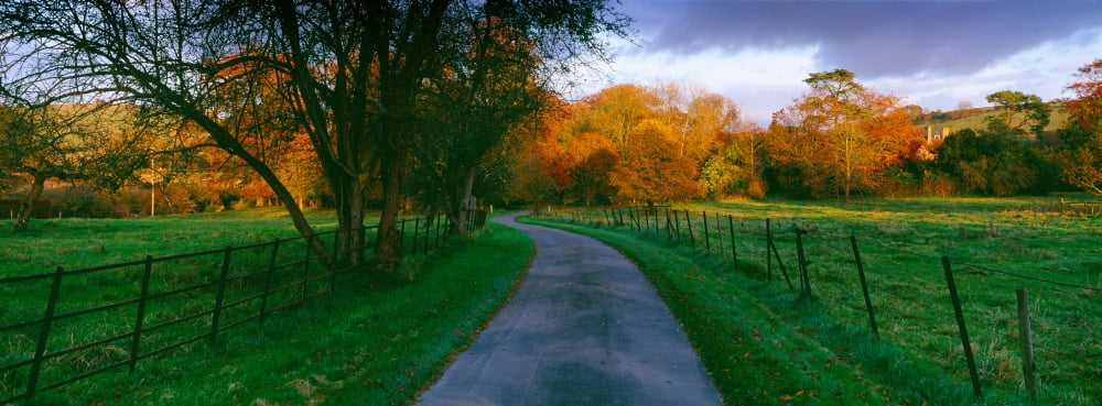 Country road passing through a field Dorset England Canvas Art - Panoramic Images (27 x 9)
