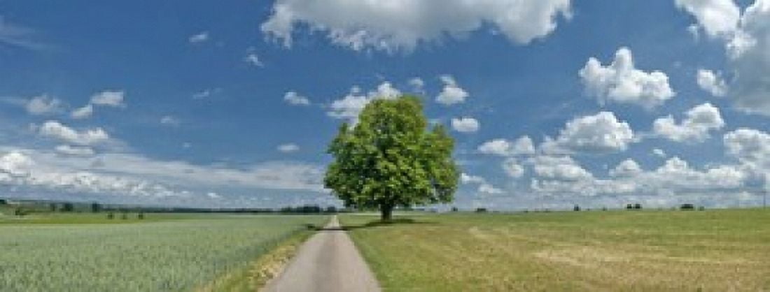 Country road passing through a field Horb Am Neckar Baden-Wurttemberg Germany Canvas Art - Panoramic Images (15 x 6)
