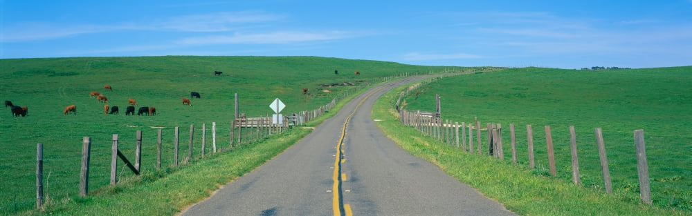 Country road separating pastures Canvas Art - Panoramic Images (36 x 12)
