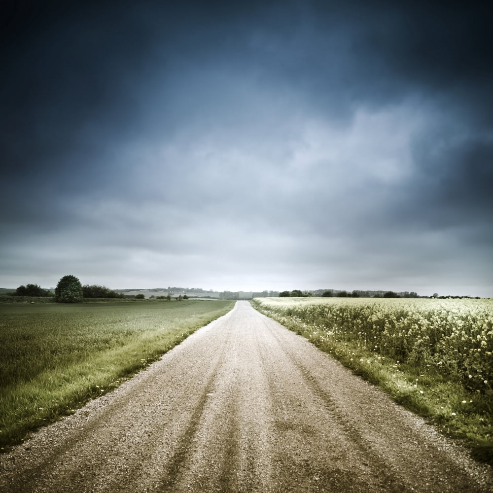 Country road through fields Denmark Canvas Art - Evgeny KuklevStocktrek Images (29 x 29)