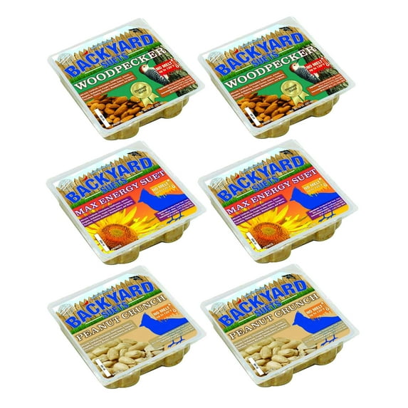 CountryMax Backyard Seeds Suet Cakes for Wild Birds - No Melt Food for Woodpeckers, Cardinals, Chickadees, Goldfinches, Juncos 11.25 Ounces (Variety Pack)