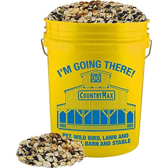 CountryMax Backyard Seeds Woodpecker Shelled Peanuts Mixed Bird Seed with Sunflower Chips, Pumpkins, Raisins (20 Pound Bucket)